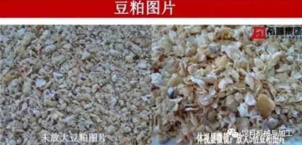 春季要注意预防霉菌毒素中毒