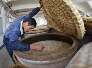 饲料发酵为何被列入十三五发展重点，发酵饲料有何用处？