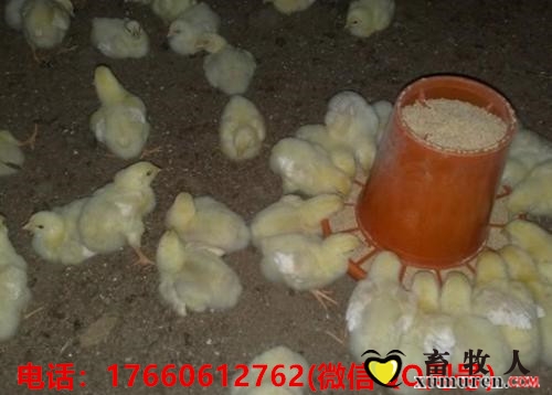 u=1616838645,2216147747&amp;fm=27&amp;gp=0_副本.jpg