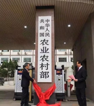 农业农村部：今年大豆补贴标准要高于玉米