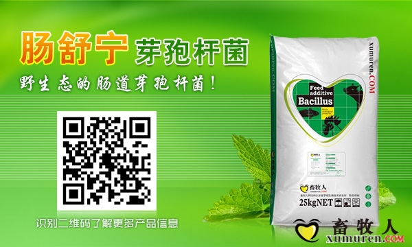网站-肠舒宁2.jpg