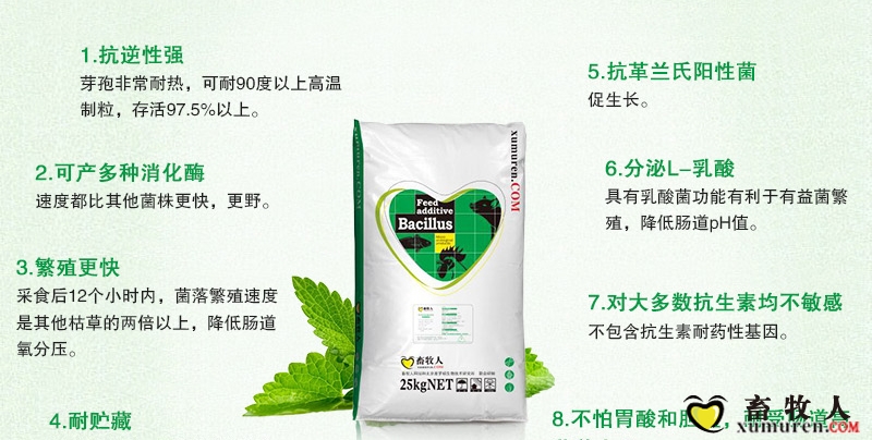 肠舒宁麦客全_03.jpg