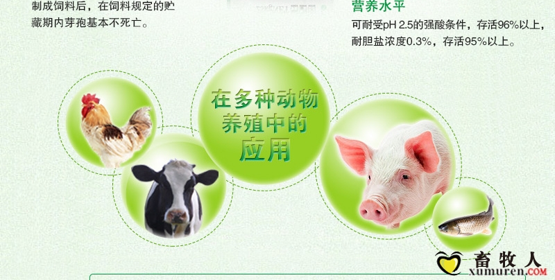 肠舒宁麦客全_04.jpg