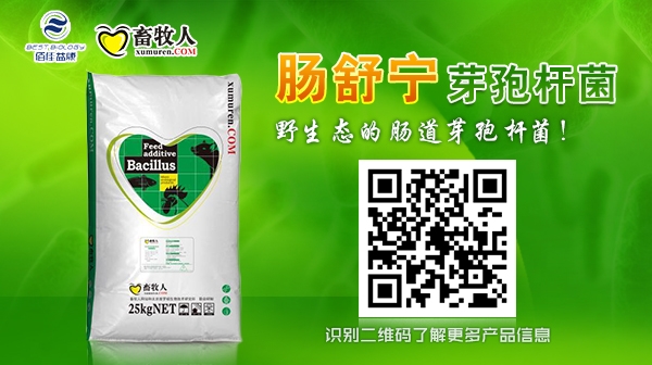 肠舒宁微信1.jpg