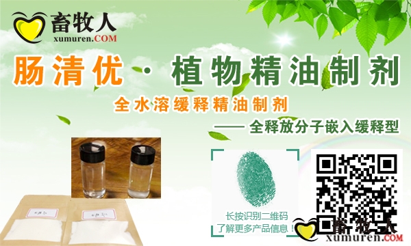 肠清优（麦克小图）.jpg