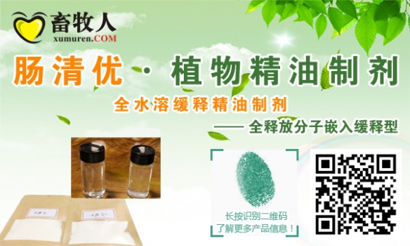 肠清优（麦克小图）.jpg