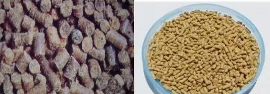水产饲料生产常见问题及处理措施
