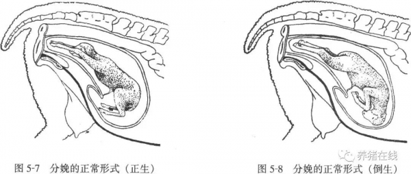微信图片_20180424140805.jpg