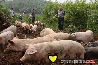 下载.jpg