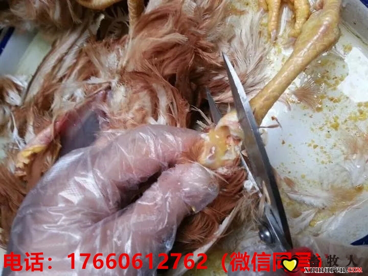 28b1faa7ea374da9bdc858af64e6aa6c_副本.jpg