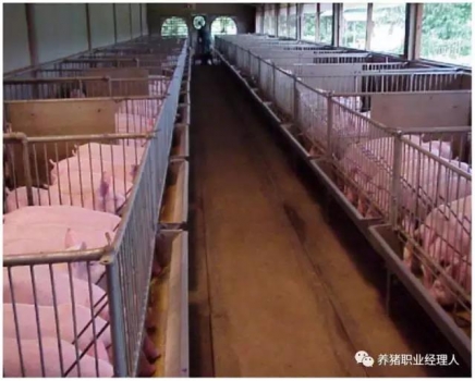 技术控 | 猪场超全面的保育舍管理制度（3）