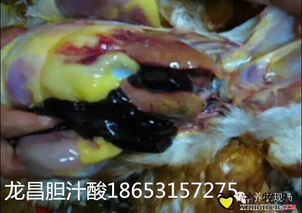 912139227308258479_副本.jpg