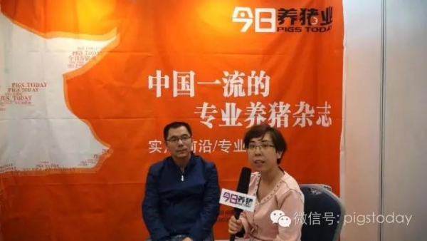 施增斌：后备母猪的培育不能过于激进