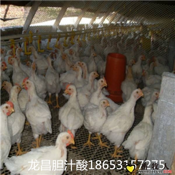 timg_副本.jpg