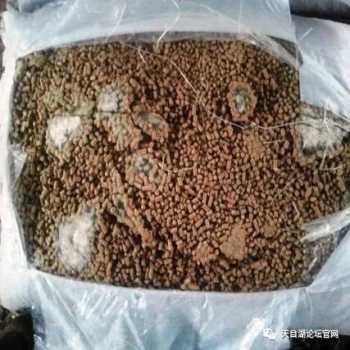 饲料几种典型霉变现象分析及解决办法