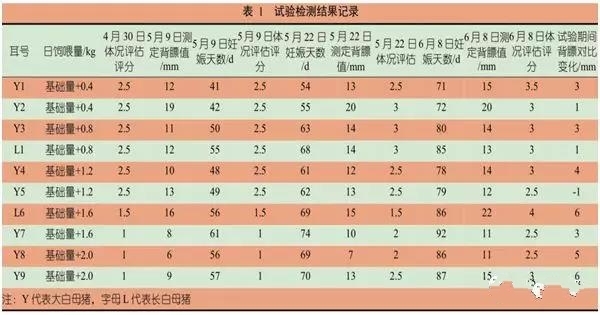 如何通过饲喂量调控母猪背膘厚