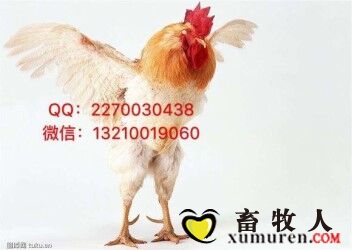 QQ图片20180606111842.jpg
