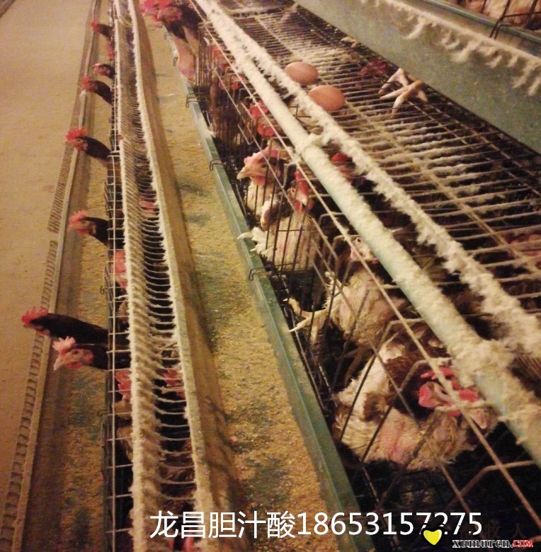 图片1_副本.jpg