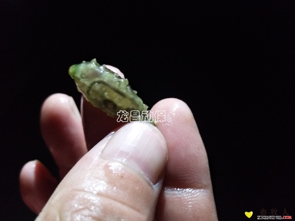 图片6_副本.jpg