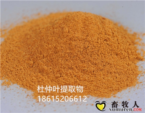 幸福100细节图 (1)_副本.jpg