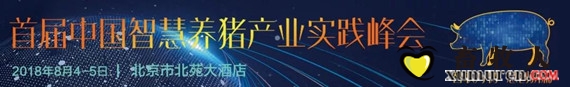 猪11.jpg