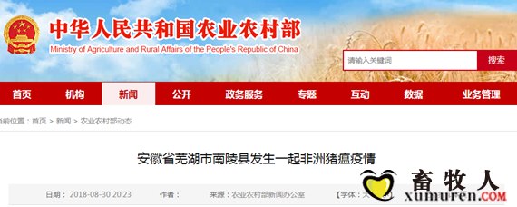 feizhou_副本.png