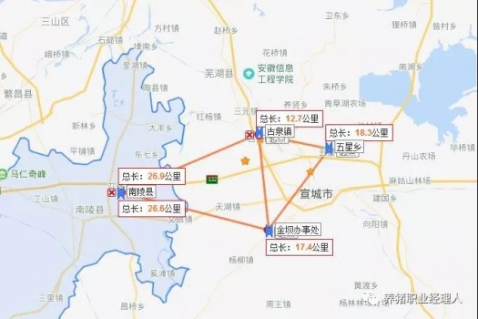 国内非洲猪瘟爆发时间轴告诉我们什么