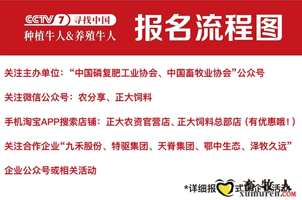 内容图片8.jpg