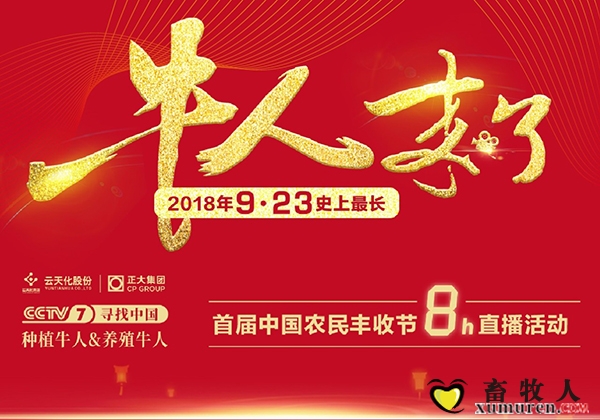内容图片12.jpg