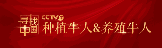 底部GIF动图-1.gif