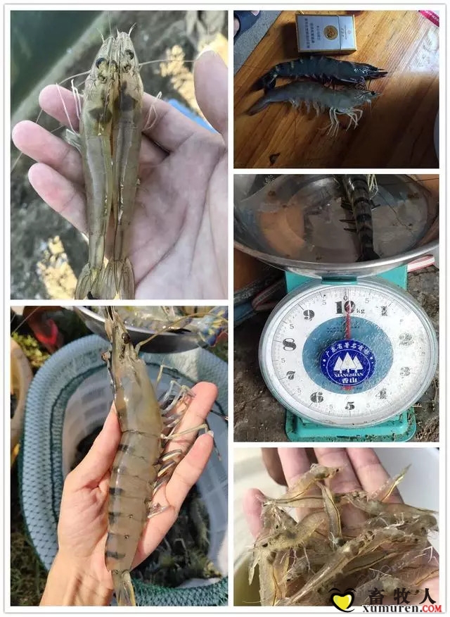 微信图片_20180920095818.jpg