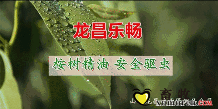 微信图片_20181017120106.png