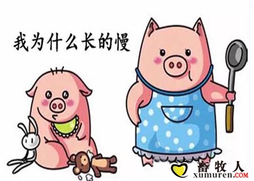 我为什么长的慢.jpg