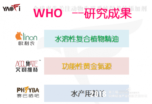 研究成果.png