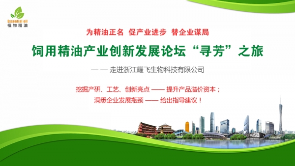 寻芳之旅.jpg