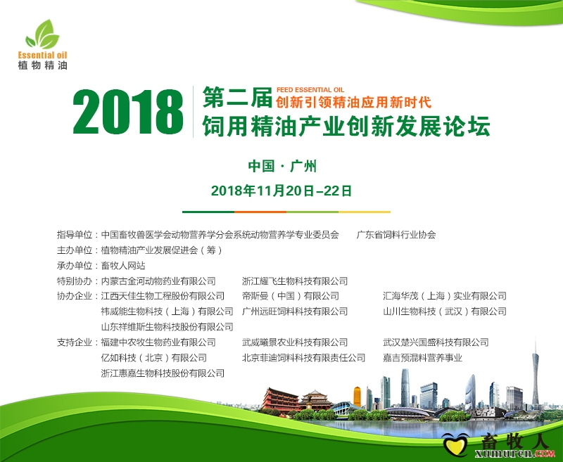 宣传背景800.jpg