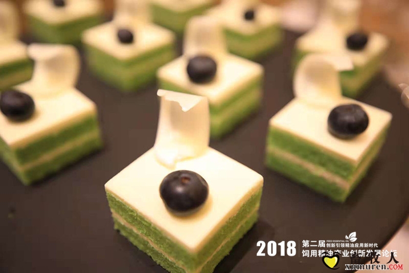 茶歇 (1).jpg