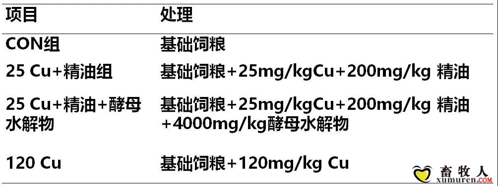 微信图片_20181207104856.jpg