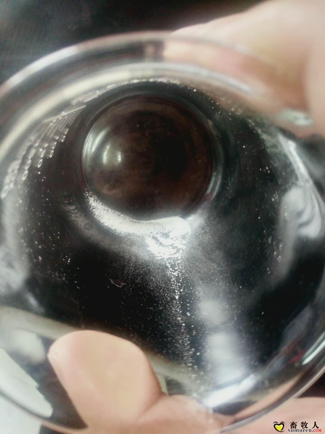 沉淀物