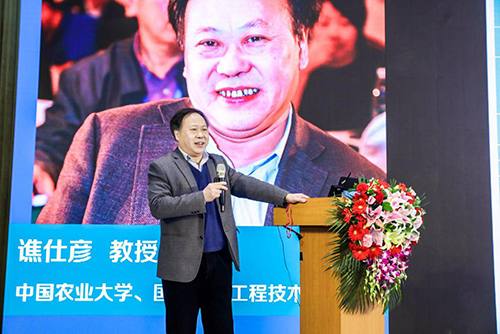 图片10.png