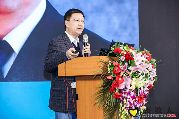 图片11.png