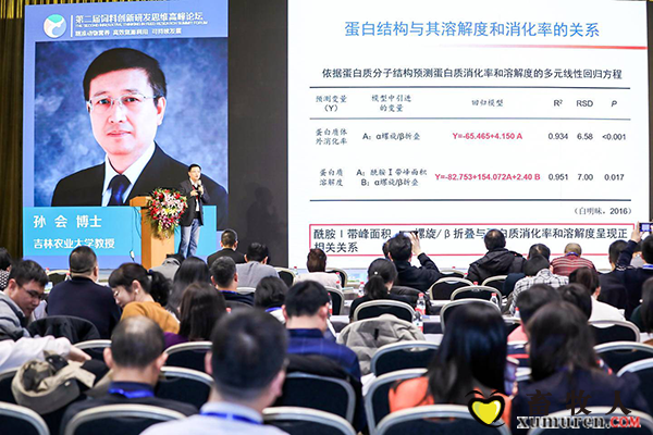 图片12.png