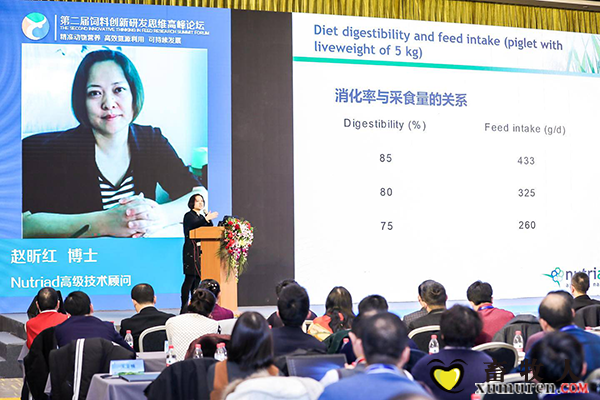 图片13.png