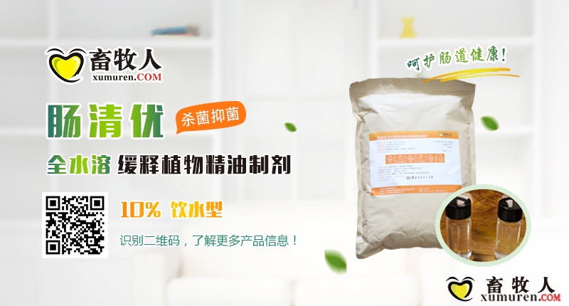 肠清优.jpg