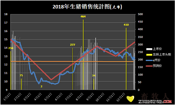 图片13.png