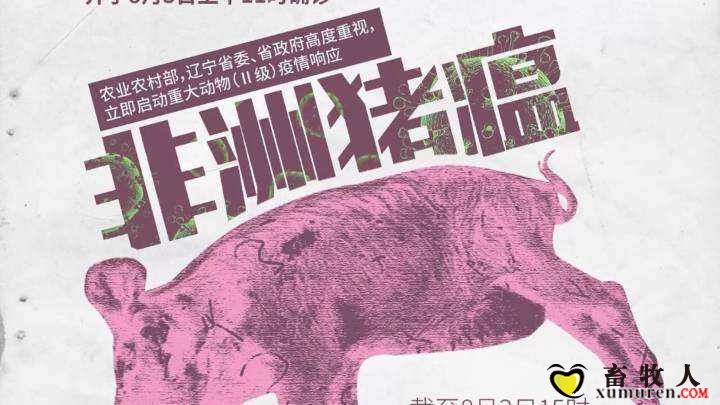 非洲猪瘟.jpg