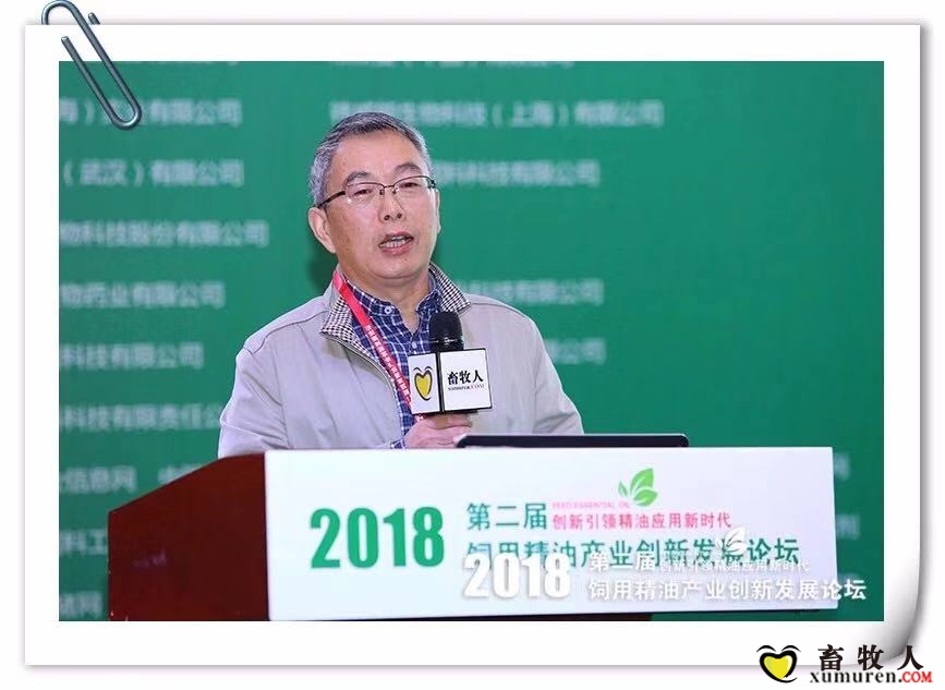 肖世平.jpg