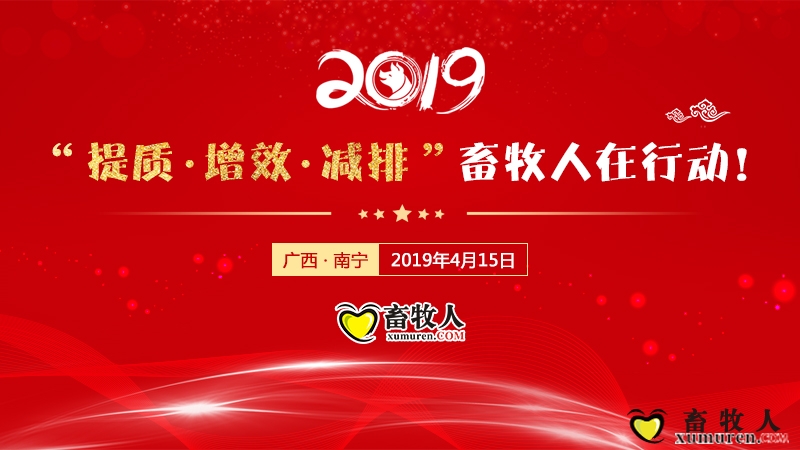 2019提质增效减排.jpg
