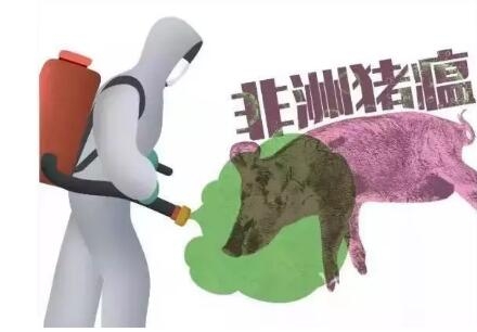 非瘟疫苗研发困难，防控疫情还需依靠生物安全管理