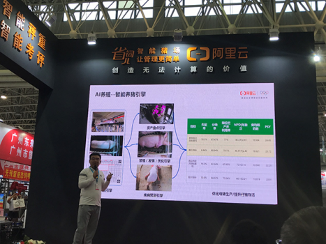 图片11.png